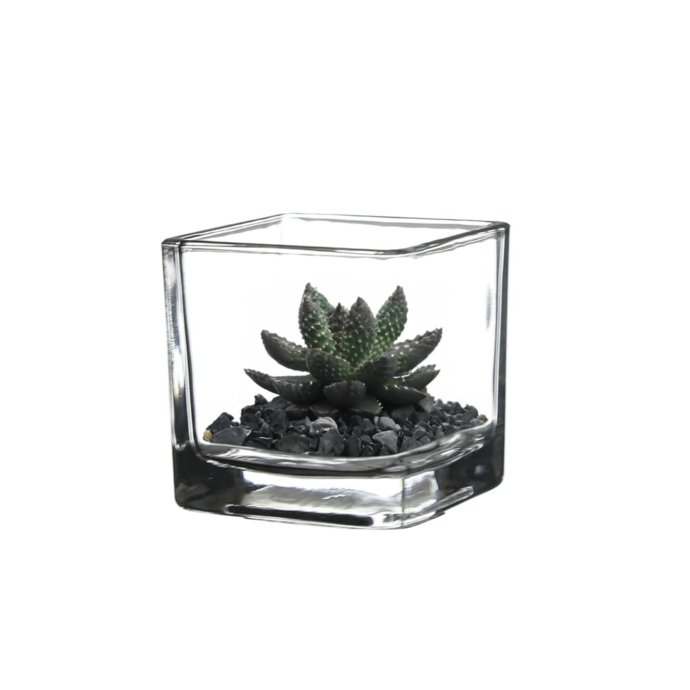 WGV 3 Inch Clear Square Cube Glass Votive Candle Holder Vase, Small Tiny Mercury Tea Light Terrarium Décor 3x3”, 1 Pc