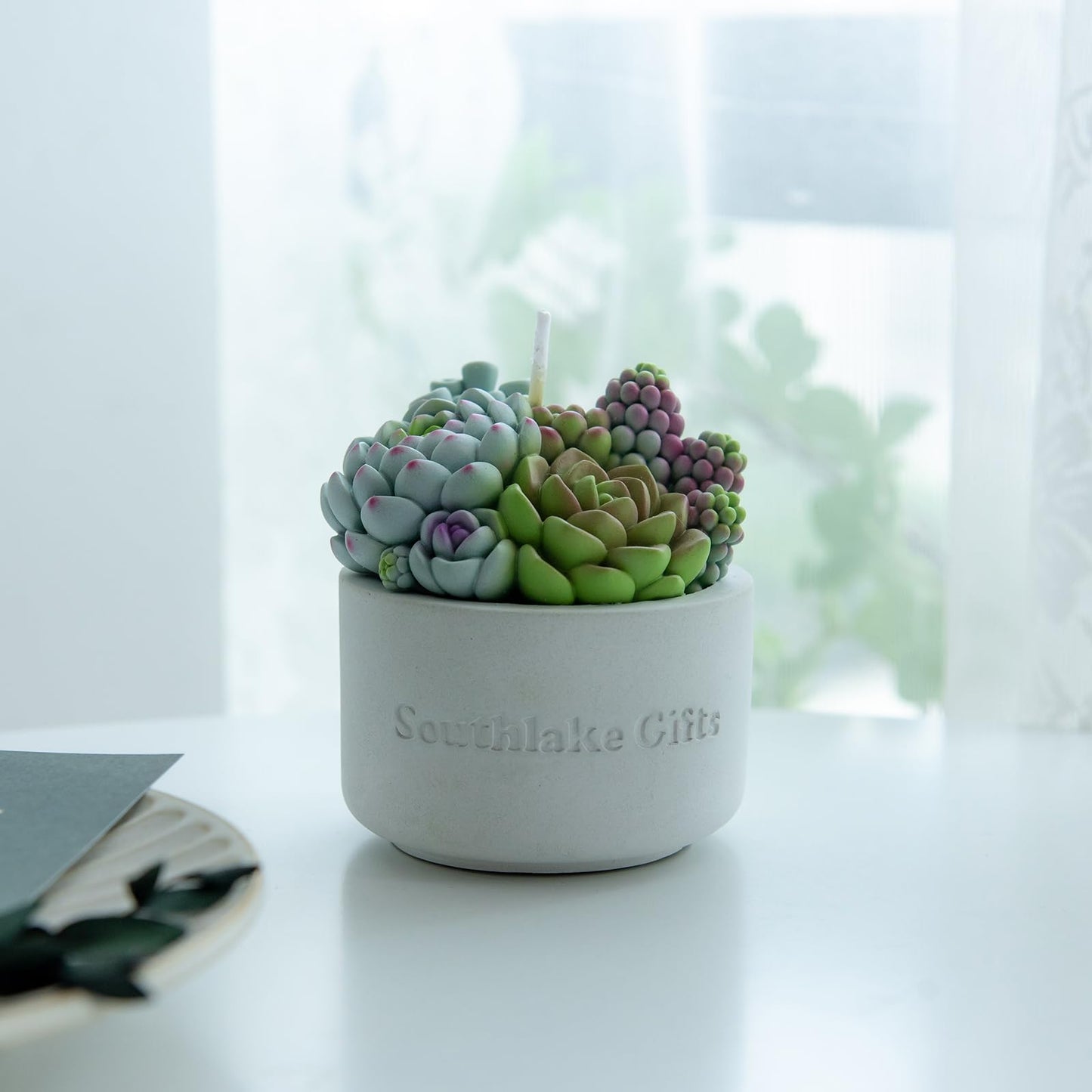 Assorted Succulent Pot Scented Vegetable Wax Candle for Spa Home Decoration Wedding Gift