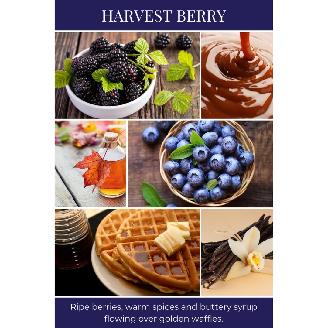 Eco Candle Co. Tea Light Candles, Harvest Berry, 10-Pack - Scents of Berries, Spices & Buttery Syrup Over Golden Waffles - Recyclable, 100% Soy Wax, No Lead, Hand Poured, 6 oz. Each