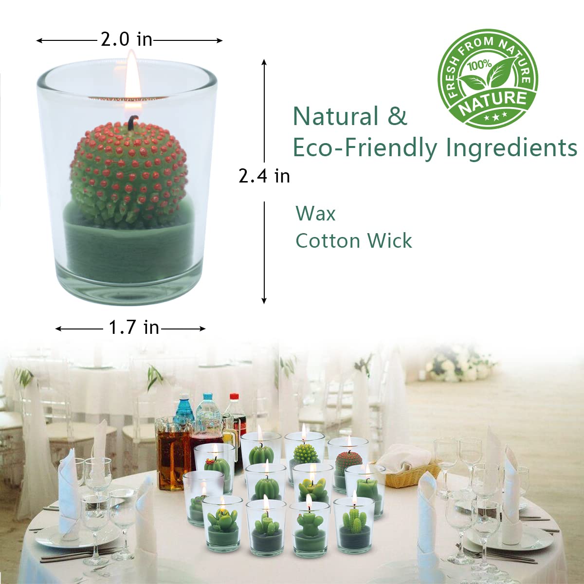 12 Pcs Decorative Succulent Cactus Tealight Candle Set - Handmade Mini Glass Holders, Decorative Votive Candles for House-Warming Party Wedding Baby-Shower and Home Decoration Gifts
