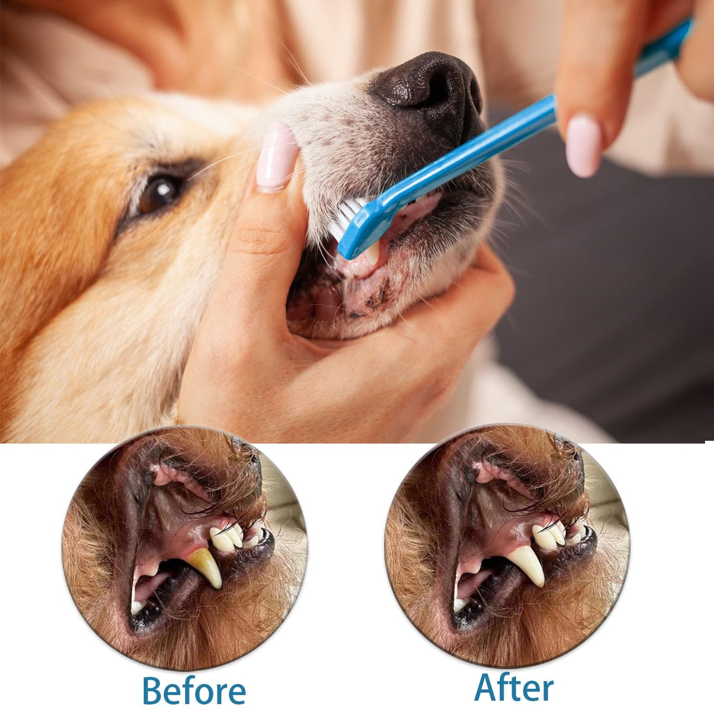 AZOFFYIU Triple Head & Double Head Dog Toothbrush Set, Finger Rubber Toothbrush, Multi-Angle Dental Cleaning Brushes for Cat Oral Health