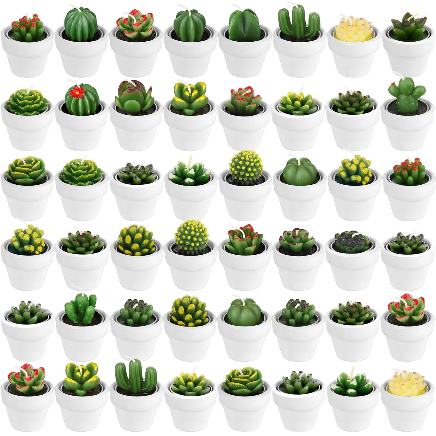 Shihanee 48 Pcs Bulk Succulent Candles Decorative Cactus Tealight Candles Handmade Mini Terracotta Clay Holders House Warming Wedding Baby Shower Spa Mexican Coworkers Teacher Birthday Gifts(White)