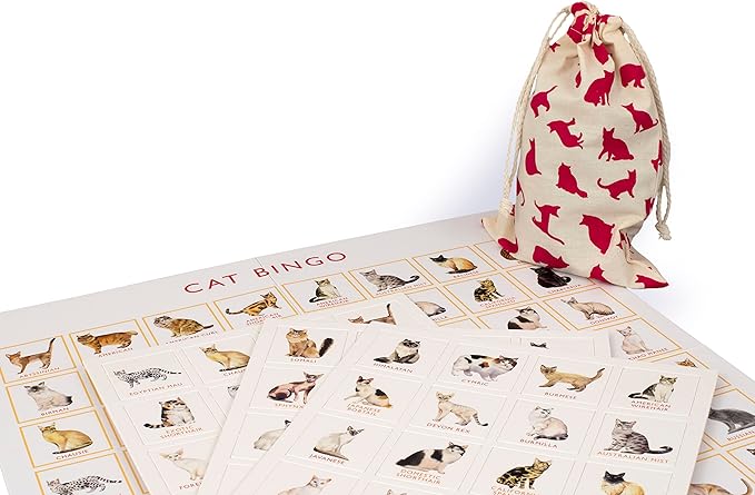 Laurence King Cat Bingo