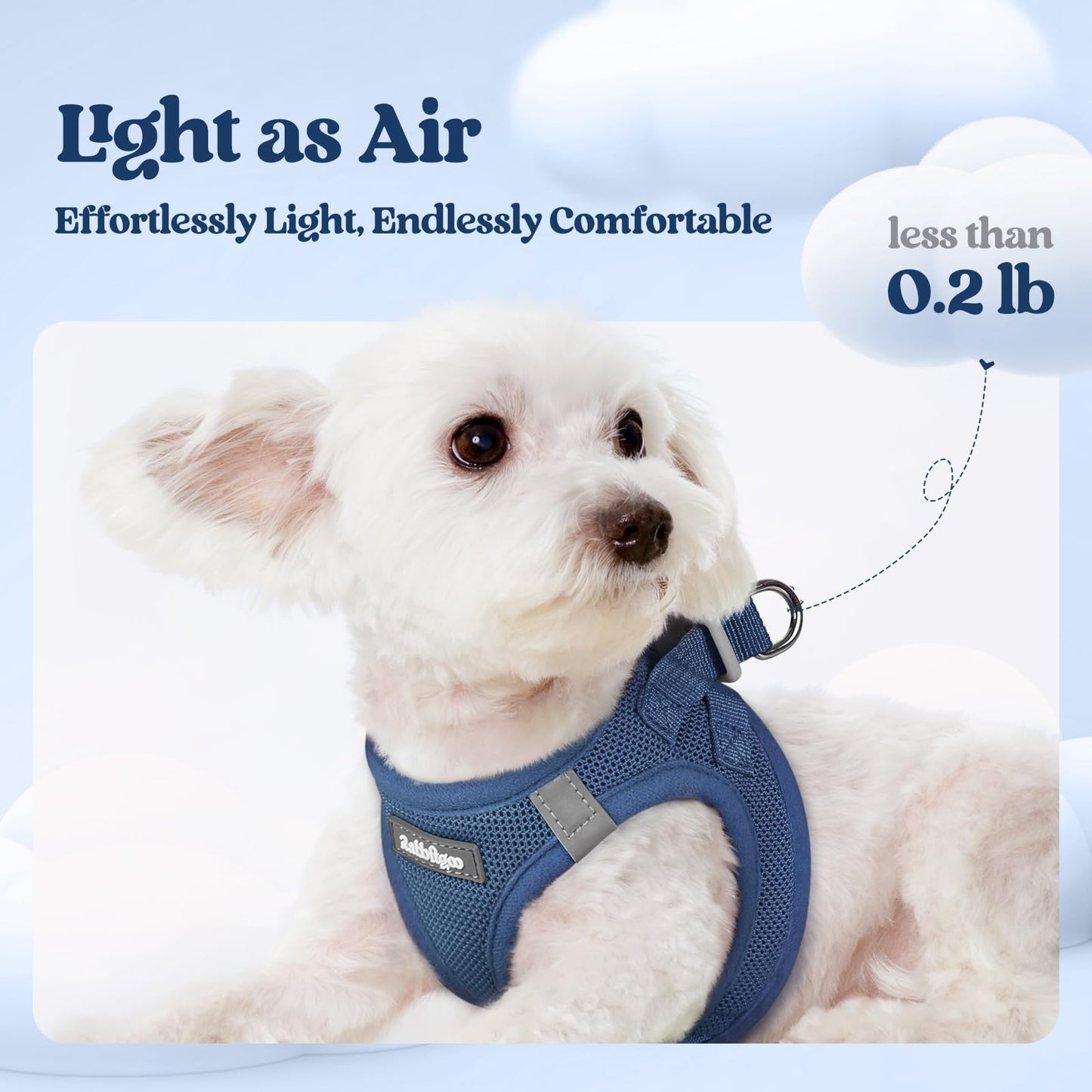 rabbitgoo Dog Harness Small Sized and Leash Set, Step in Soft Light Puppy Vest, Breathable Mesh Pet Harness, Reflective for Safe Outdoor Walking, Navy Blue XS