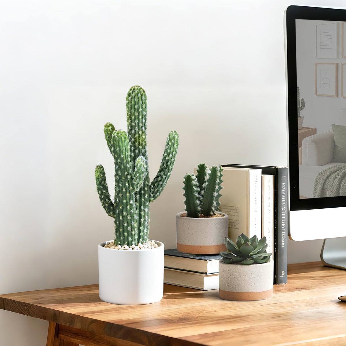 ASTRIDIA Artificial Cactus Plants - Potted Succulents in Ceramic, Faux Cacti and Succulent Decor for Home, Office Desk,Living Room-1pack