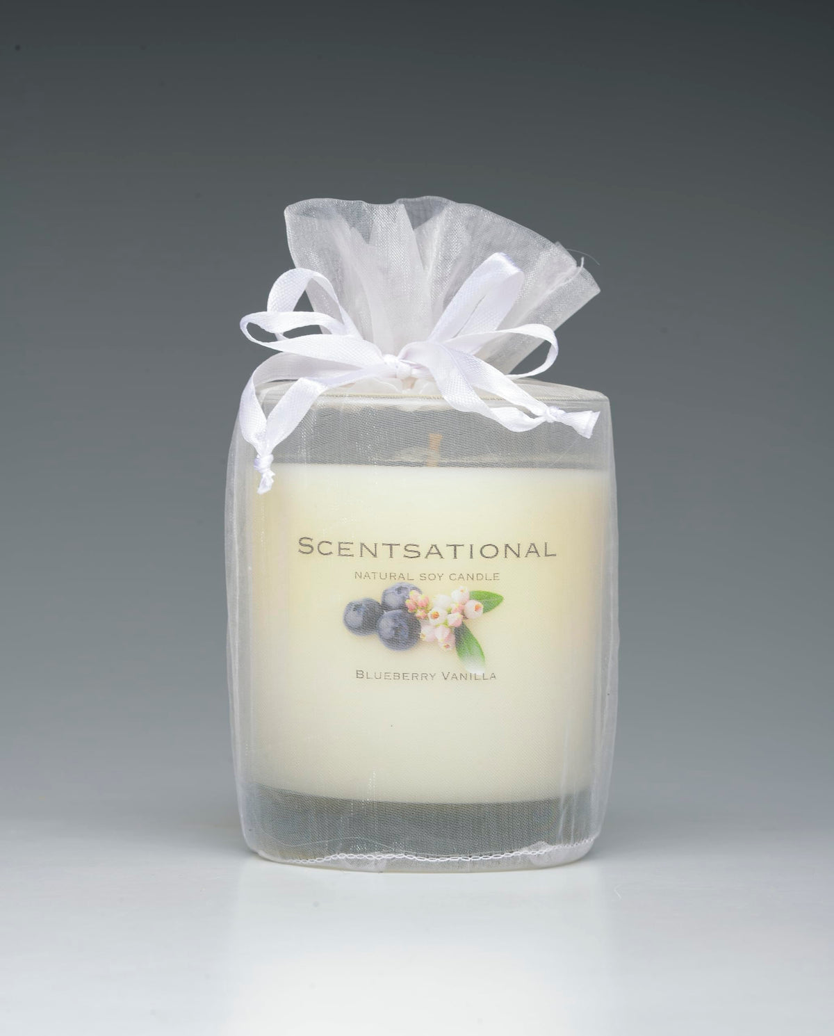 Scentsational Natural Candle, Blueberry Vanilla Scent, 11 oz, Gift Wrapped