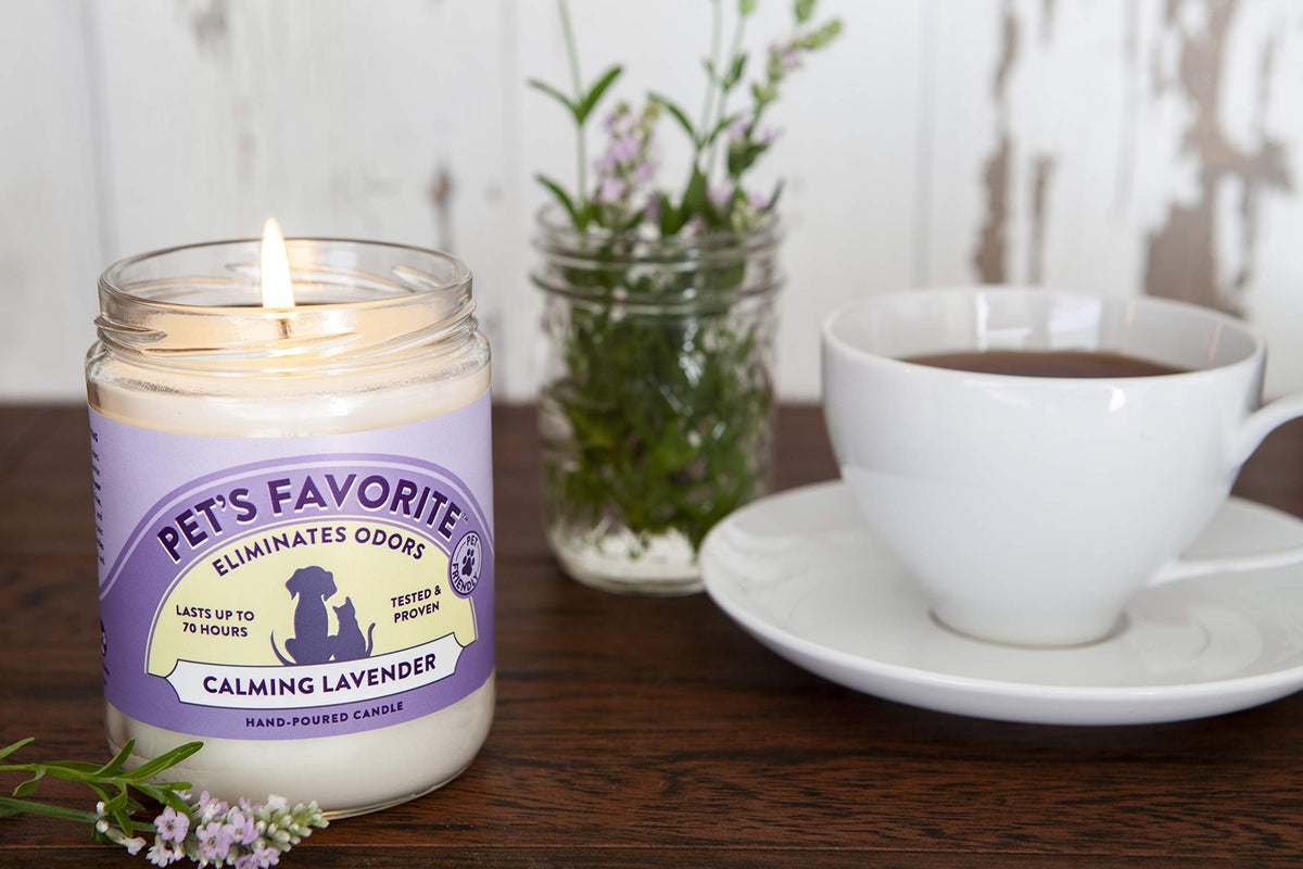 Pet's Favorite Calming Lavender Pet Odor Candle, Clean Burning, Long Lasting Scented Candles with a Natural Fiber Wick and 70 Hour Burn Time, Pack of 1