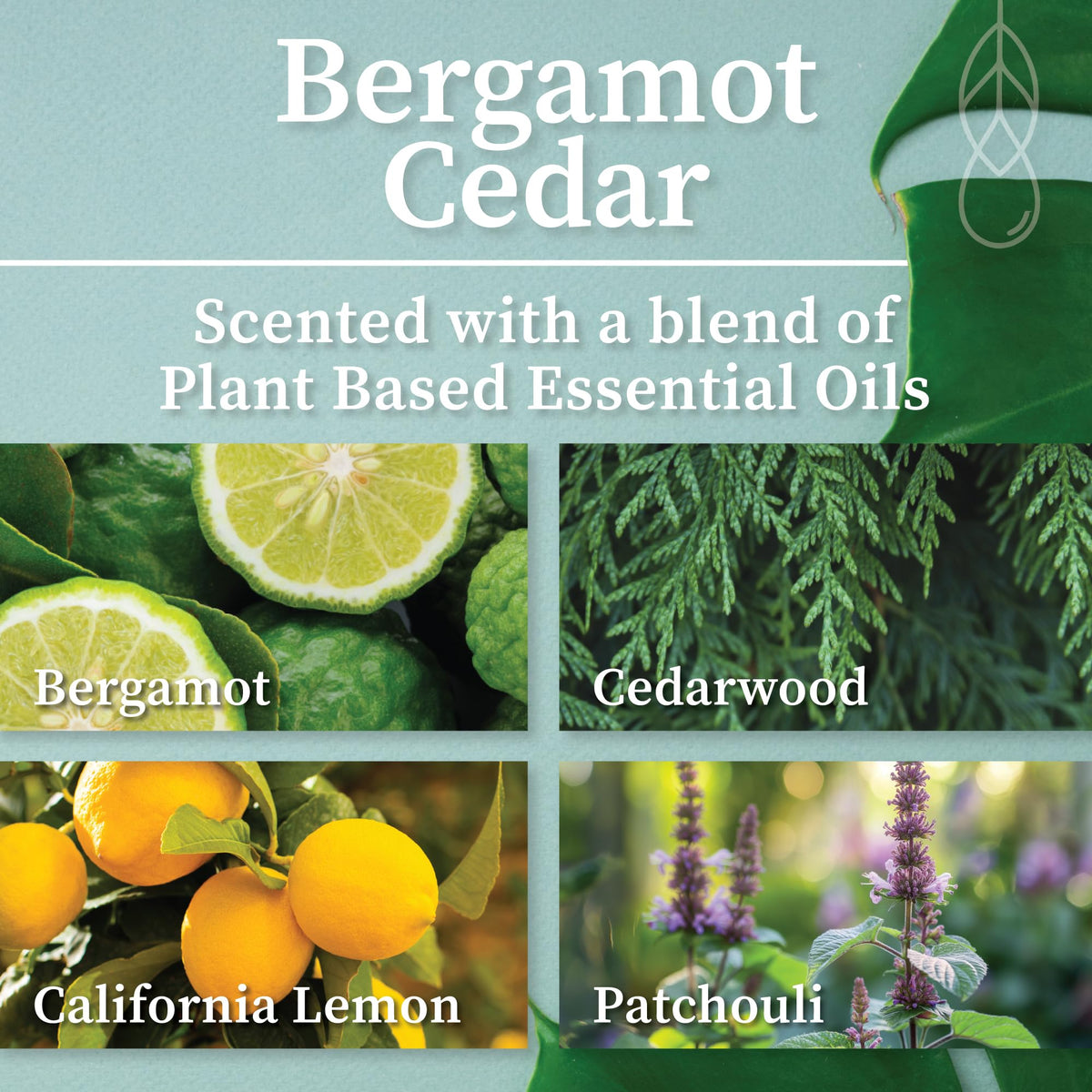 Hemlock Park Bergamot Cedar Amber Gold Leaf Hand-Poured Scented Candle | Crackling Wood Wick, Botanical Fragrance & Coconut Wax | Up to 60 Hour Burn Time | 7.2 oz