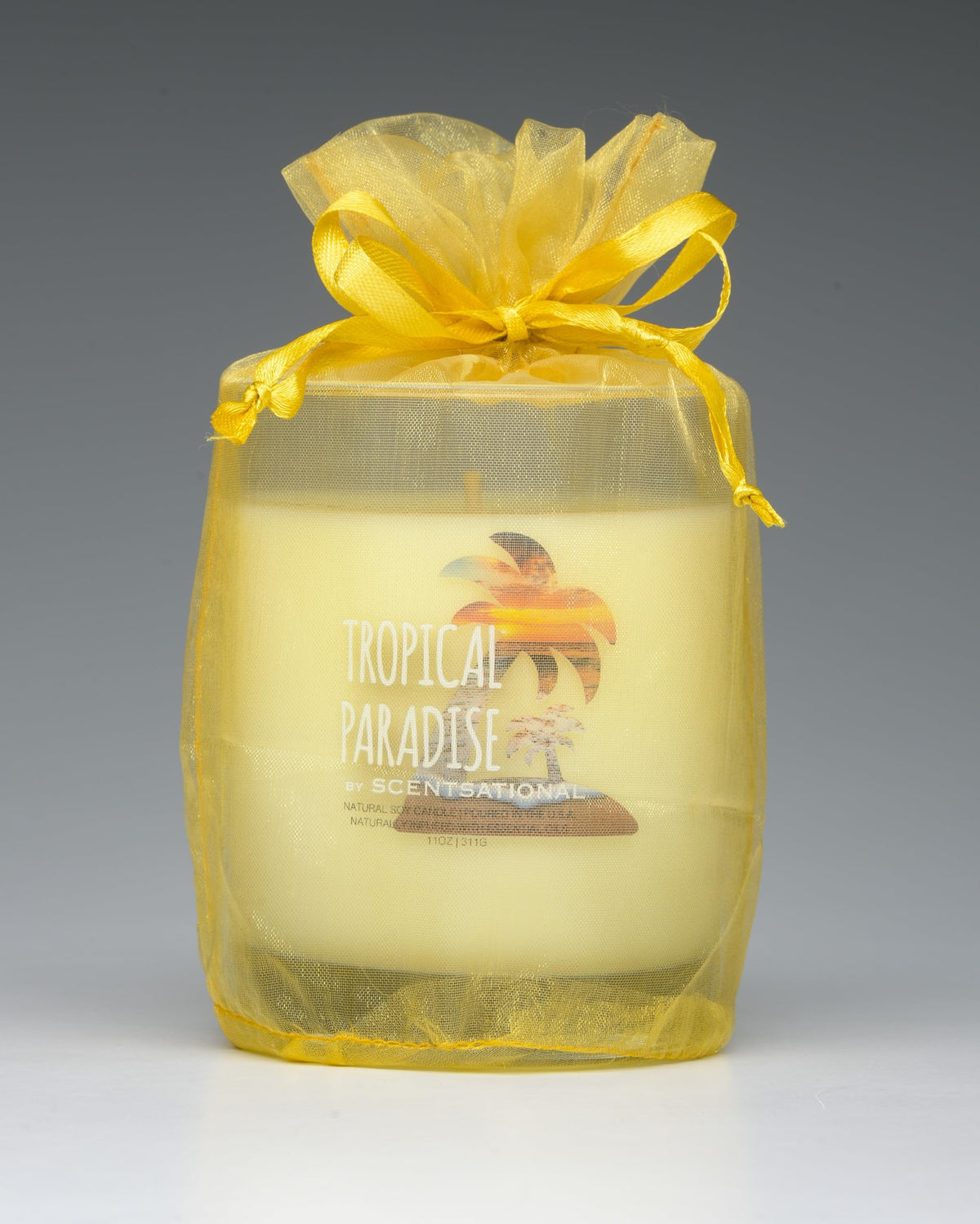 Scentsational Tropical Paradise Natural Candle, 11 oz Glass Jar, 50-60 Hour Burn Time, Gift Wrapped