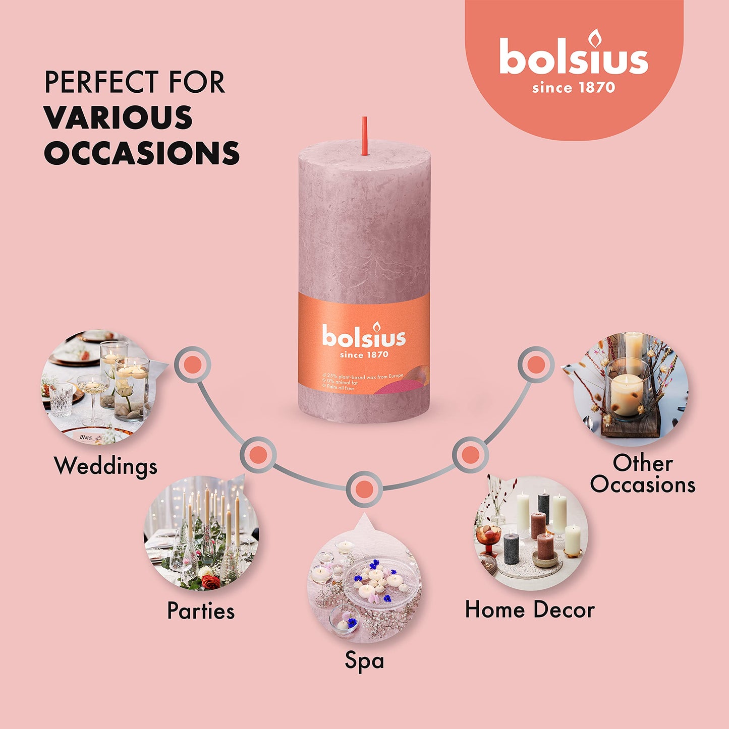 BOLSIUS 4 Pack Ash Rose Rustic Pillar Candles - 2 X 4 Inches - Premium European Quality - Includes Natural Plant-Based Wax - Unscented Dripless Smokeless 30 Hour Party Décor and Wedding Candles