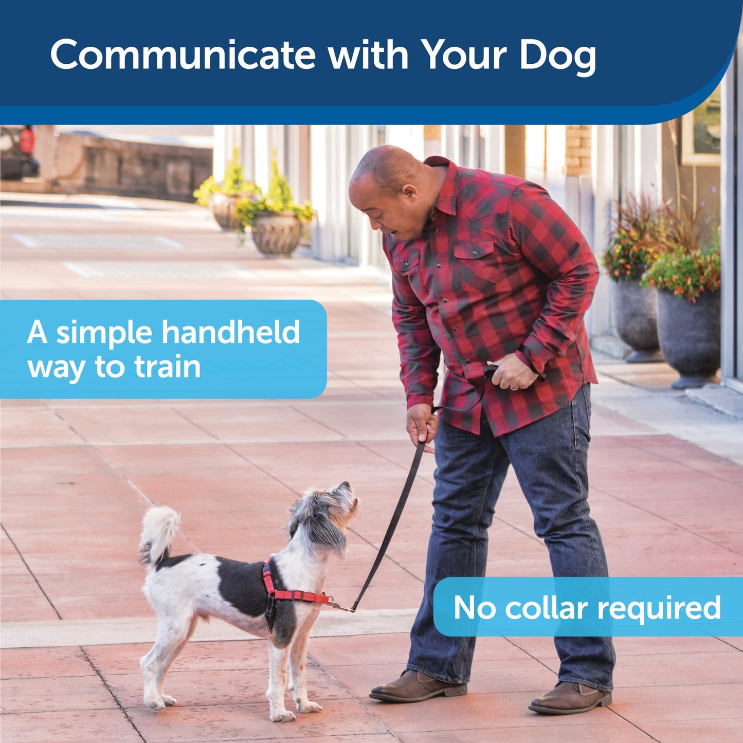 PetSafe, Collarless Ultrasonic Remote Trainer, Two Tone, Safe, Anti Bark, Black