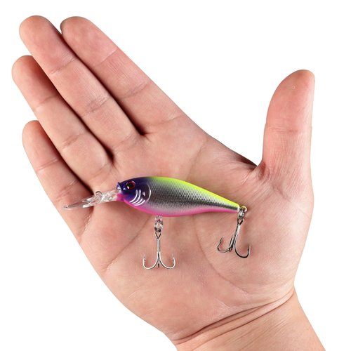 Berkley Flicker Shad Fishing Lure Trolling Pack, Size 7, 5-Pack, Size, Profile and Dive Depth Imitates Real Shad, Equipped with Fusion19 Hook, Includes Plano ProLatch 3600 Storage Case