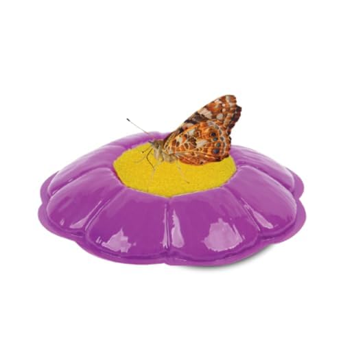 Insect Lore Giant Butterfly Garden with Voucher | 18 Inch Habitat | Life Cycle Figurines Included | Voucher to Redeem 5 Baby Caterpillars Later | Raise Painted Lady Butterflies
