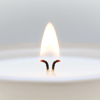 CUE Lavender Eucalyptus Scented Candle | Soy Coconut Wax Blend | Candle Gift for Women | Made in USA | 50 Hour Burn Time | 8.5oz White Color