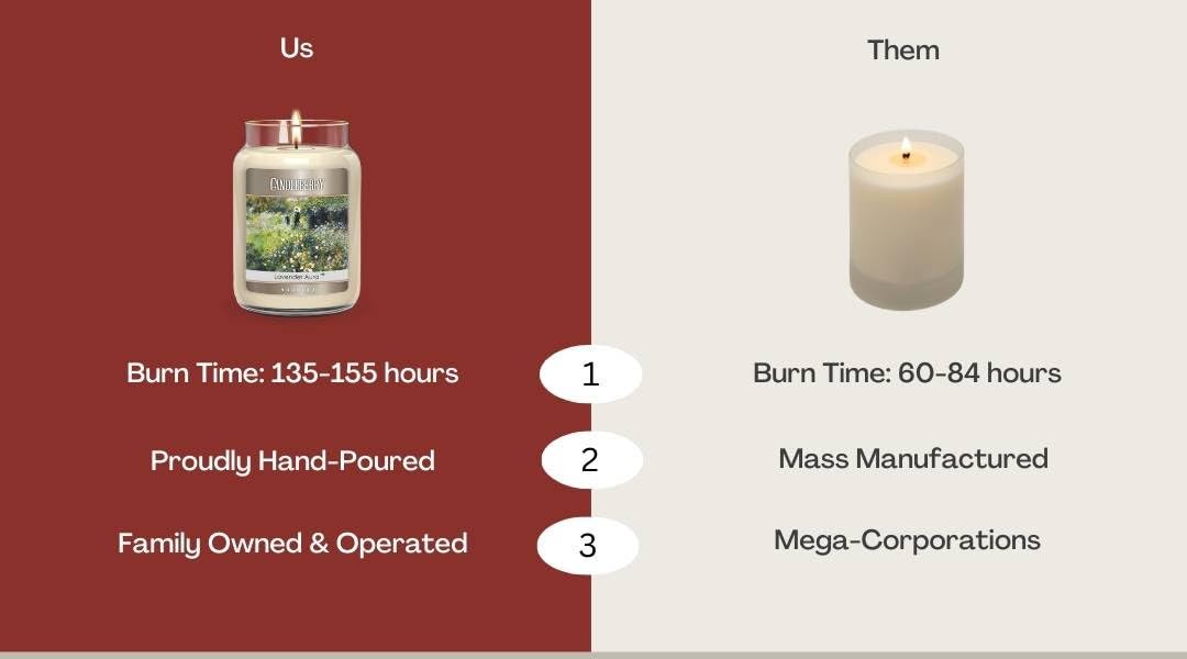 Candleberry Candles | Black Cashmere Candle | Best Candles on The Market | Hand Poured in The USA | Highly Scented & Long Lasting | Large Jar
