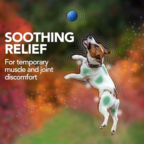 Vet’s Best Aches + Pains Dog Supplement, Vet Formulated for Dog Occasional Discomfort and Hip and Joint Support, 50 Chewable Tablets