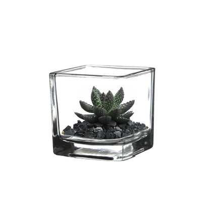 WGVI 6 Pcs Clear Square Glass Tea Light Votive Candle Holders, Width 2", Height 2", Small Cube CandleHolders Container Dish Terrarium Tabletop Ambient Décor
