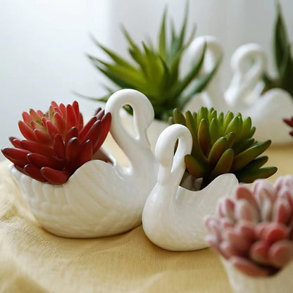 XESAGSNV White Ceramic, Swan Flowerpot, Succulent Flowerpot, Medium Temperature Porcelain, Can be Used as Candle Holder (1, Large)