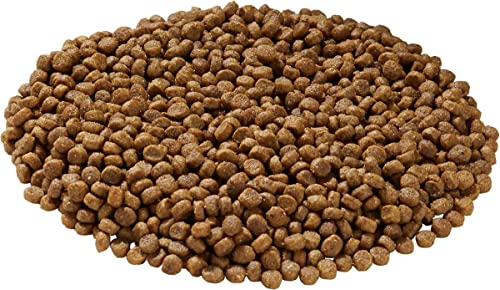 Health Extension Little Bites Dry Dog Food for Small Breeds, Chicken & Brown Rice Recipe, with Probiotics & Superfoods for Digestion & Coat Health, 10 lb Bag (Pack of 1)