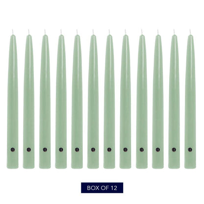 Colonial Candle Unscented Taper Candle, Handipt Collection, Colonial Classic Green, 12 in, Pack of 12 - Up to 10 Hours Burn