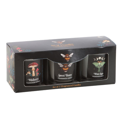 Mystical Woods Votive Candle Set: Enchanting Fragrances | Moonlit Forest Illustrations | Premium Quality Wax | Versatile Decor & Relaxation
