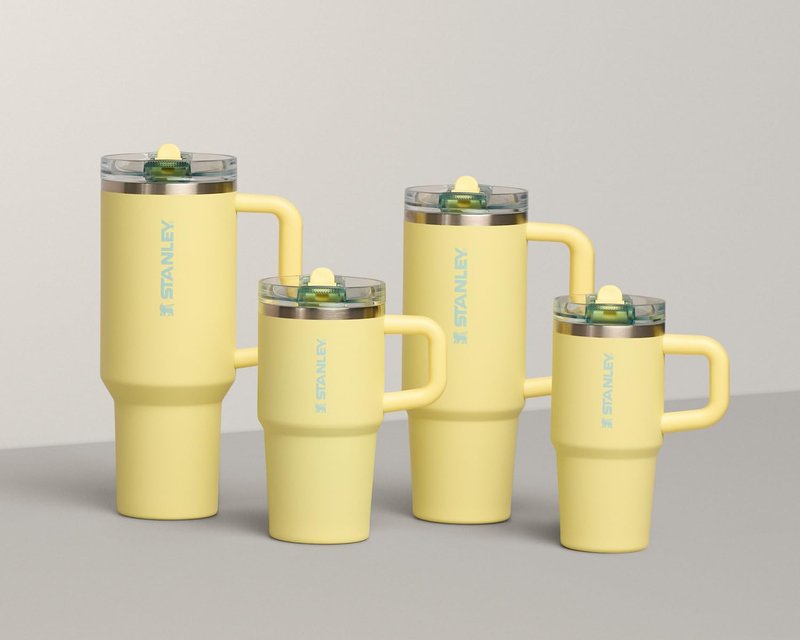STANLEY Quencher ProTour Flip Straw Tumbler with Leakproof Lid 20 oz | Built-In Straw and Handle | Cup Holder Compatible for Travel | Insulated Stainless Steel Cup | BPA-Free | Pomelo