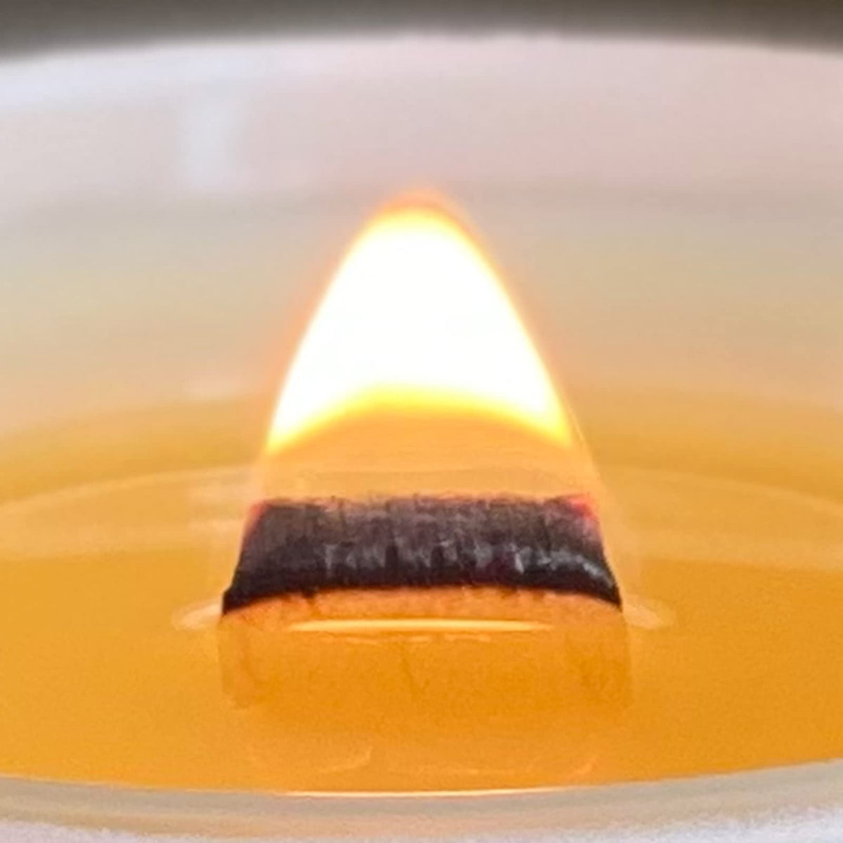 VAVERA Green Tea + Lemongrass Wood Wick Candles that Crackle, 11oz Matte White w/lid, an Amazing Spa Like Fragrance. Crossover Scent for Her or Him! Soy, Vegan, Non Toxic. Hand-Crafted in USA.
