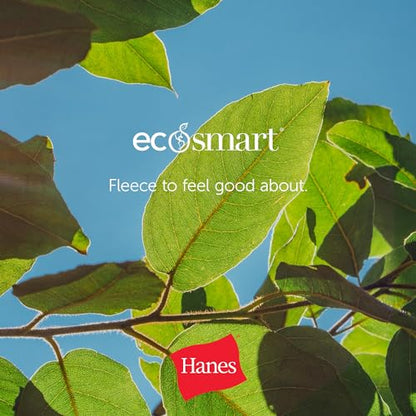 Hanes Men's Pullover EcoSmart Hooded Sweatshirt, Navy, Large