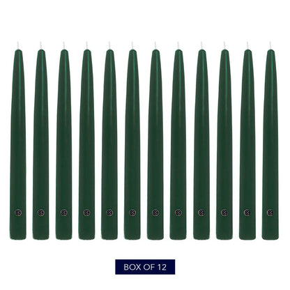 Colonial Candle Unscented Taper Candle, Handipt Collection, Evergreen, 12 in, Pack of 12 - Up to 10 Hours Burn