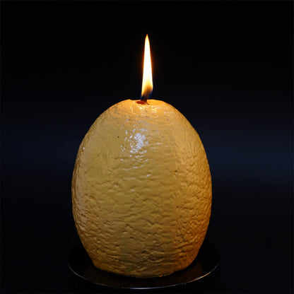 Hatching Dinosaur Eggs Candles