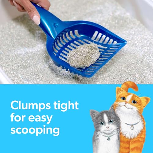 Fresh Step Clumping Cat Litter, Multi-Cat, Long Lasting Odor Control Kitty Litter with Activated Charcoal, Low Dust Formula, 14 lb