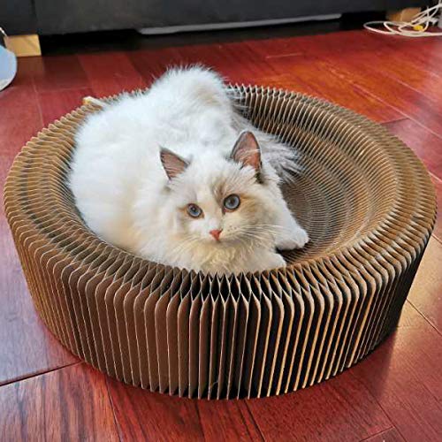BobbyPet Cat Scratcher Lounge Bed - Collapsible Round Shape for Big cat