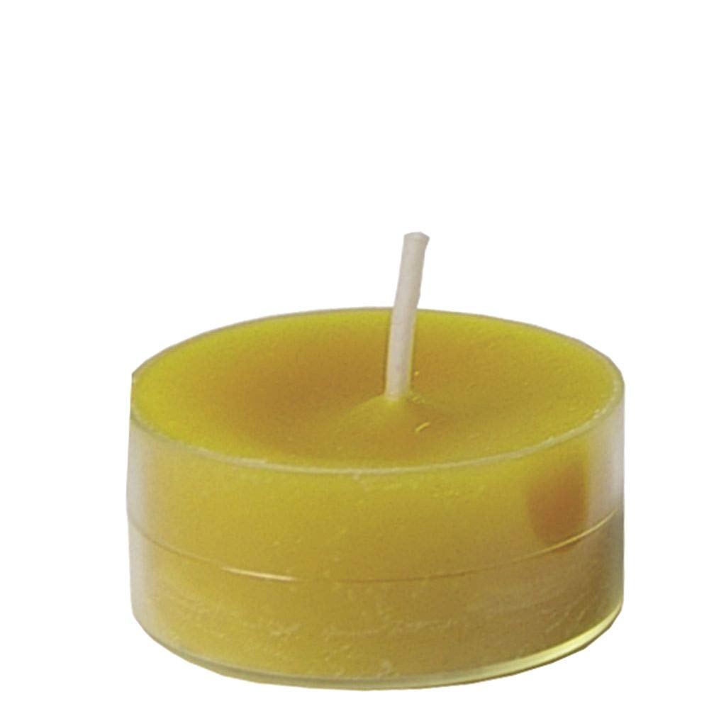 Spaas 12 Maxi Scented Tealights in Transparent Clear Cup, ± 10 Hours, Refreshing Lightness