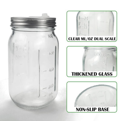 32 oz Mason Jar Fermentation Kit, 2 Pack Fermentation Jars, Fermentation Lids, Fermenting Weights and Airlocks, Complete Fermenting Kit for Making and Storing Sauerkraut（Pack of 2）