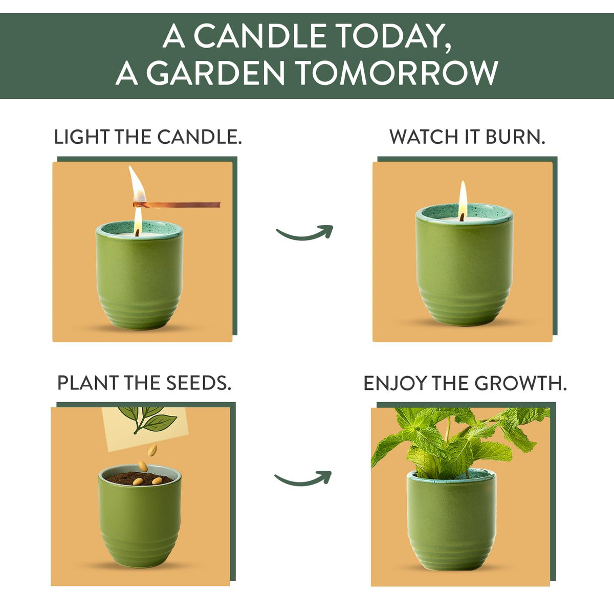 Modern Sprout - 2-in-1 Soy Candle & Planter - in The Weeds (Eucalyptus, Pink Pepper, Patchouli, Citrus) 6 Oz Scented Candle w/Mint Seeds - Ceramic Vessel Dual Purpose Jar - 38-40 Hour Burn