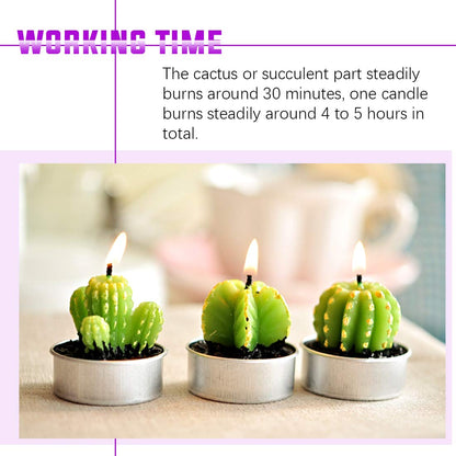 Swpeet 12Pcs Decorative Succulent Cactus Tealight Candles Kit, Cute Smokeless Succulent Plants Perfect for Candles Festival Wedding Props and House-Warming Party (N0.3-Candle)