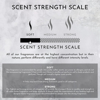 ENVIRONMENT Inspired by 5-Star Resort WSTN Candle, 8oz Luxury Coconut Apricot Wax Candles for Home (White Tea | Cedar | Aloe Vera) Home Fragrance Products, 1 Wick Candle, Vegan & Cruelty-Free