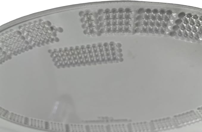 Oval Cribbage Board Template - 4 Lane USA