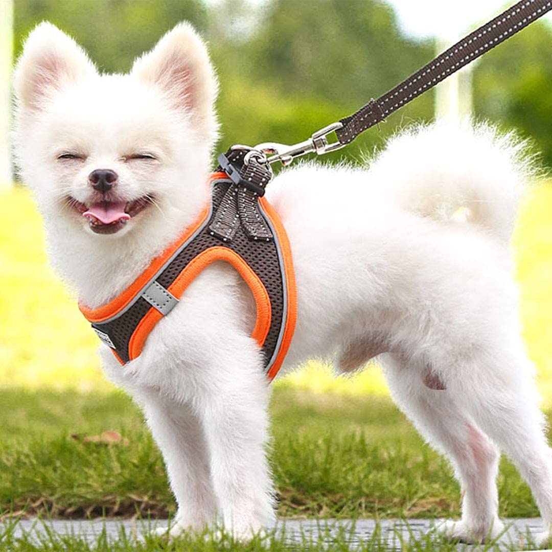 Suredoo Soft Mesh Dog Harness and Leash Set, Step-in Reflective Breathable Comfort Padded Quick Dry Pet Puppy Vest Harness for Extra-Small/Small Medium Dogs and Cats (Brown, XXS)
