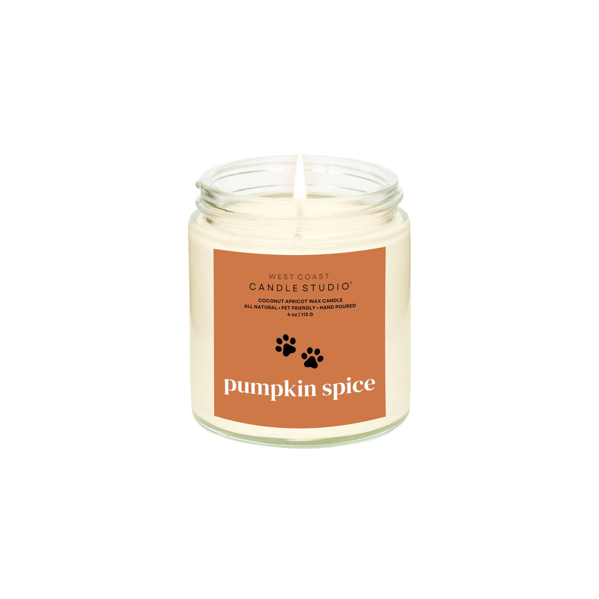 Pet Safe Candle for Dogs | Non Toxic Coconut Apricot Wax Candle | Clean Burning, Paraffin-Free | Pet Odor Eliminating Home Fragrance | Pumpkin Spice | 4 oz