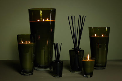 Zodax Estate Scented Jar Candle, 57 oz - Palm