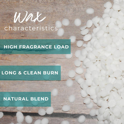Coconut Soy Wax Beads for Candle Making | 10lb Coconut Soy Candle Wax Pastilles for Candlemaking | Smooth Blend for High Load Fragrance Formulation | Candle Making Supplies