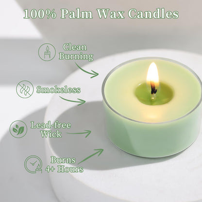 Eucalyptus Drift Scented Tea Lights Candles – Grayish Green – 6 Hour Burn – 100% Palm Wax – Scented Tealight Candles for Winter Holidays, Christmas Calm, Spa Vibes – 16 Pack Scent Votive Candle