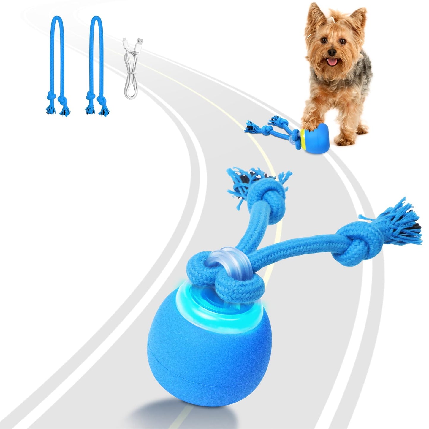 Saolife Interactive Dog Toys, Moving Dog Ball with Touch Activated, Active Rolling Ball for Puppy and Medium Dogs, Squeaky, USB Rechargeable