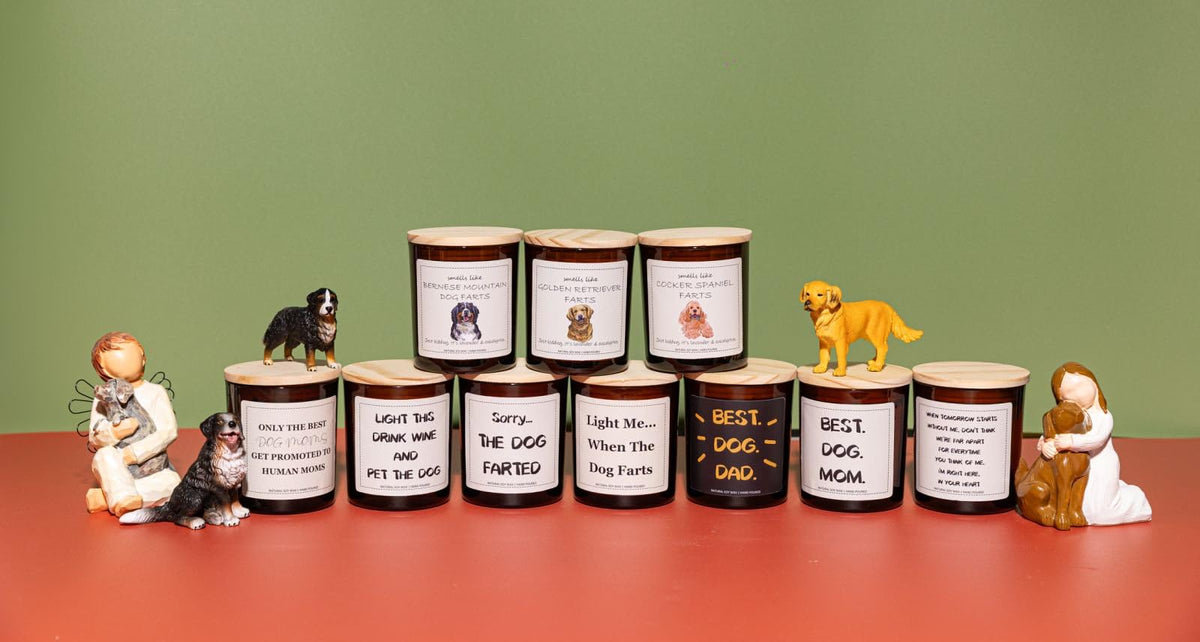 Dog Mom Gifts, Dog Lovers Gifts for Women, Sorry The Pet Farted Candle - Lavender & Eucalyptus, Crafted by Natural Soy Wax & Natural Essential Oils