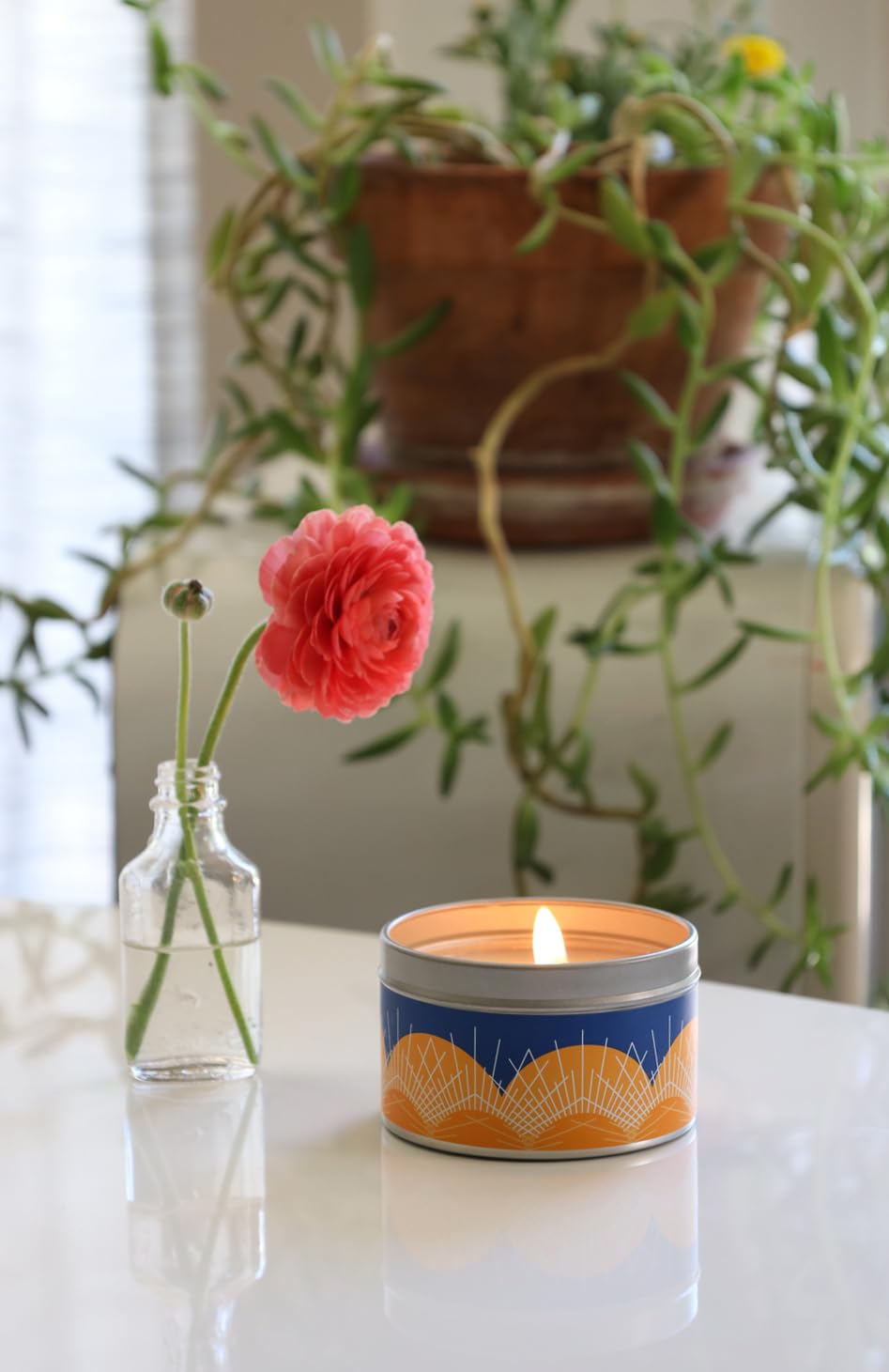 GoodLight Paraffin-Free Scented Candle in Stylish Tin (Desert Juniper, 6 oz)