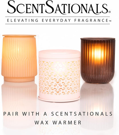 Scentsationals Christmas Wax Melts Holiday Favorites 4pk – Long Lasting, Strong Scent Melts for Warmers, Includes Red Hot Cinnamon, Woodland Spruce, Brown Butter Cookies, & Stay Cozy, 10oz (24 Cubes)