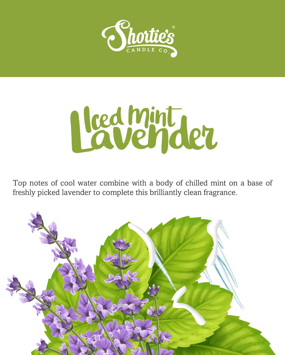 Shortie's Candle Company Iced Mint Lavender Premium Wax Melts 4 Pack - 12 Oz., Strong & Long Lasting, Non-Toxic - Made with Essential & Natural Oils - Formula 117