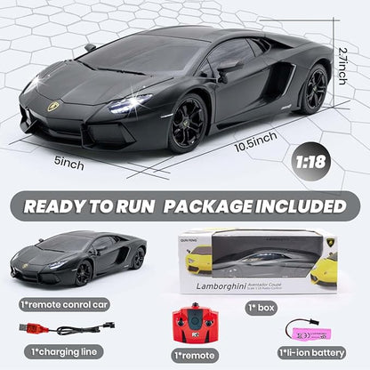 QUN FENG Official Licensed Lamo LP-700 1:18 Scale Remote Control Car for Kids 8-12 Years RC Car with Rechargeable Battery 3.7V 500mAh 2.4GHz Matte Black