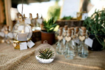 BlogBlog Hanging Glass Candle Holder, Globe Glass Tea Light Holder, Hanging Glass Vase, Flower Plants Terrarium, Glass Orbs Container, Micro Landscape DIY for Home, Office, Wedding (2.36" 12Pcs)